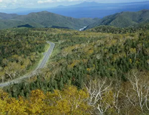 Road in Shiretoko National Park, Hokkaido, Japan