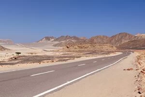 Images Dated 27th October 2011: Road in the Sinai desert, Egypt, Africa