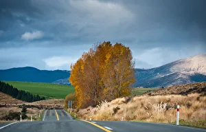 Road with tall grass