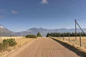 Images Dated 29th December 2015: Road, Tulbagh, Western Cape, South Africa, Day, Horizontal, No People, Colour image