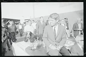 Robert F. Kennedy Sitting Next to Dog