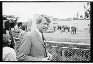 Portland Prints: Robert F. Kennedy Standing at Fence Near Elephants