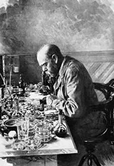 Studying Prints: Robert Koch Studies Rinderpest In Lab