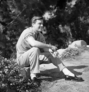 Leaf 4 1 13 Prints: Robert Wagner Portrait Session