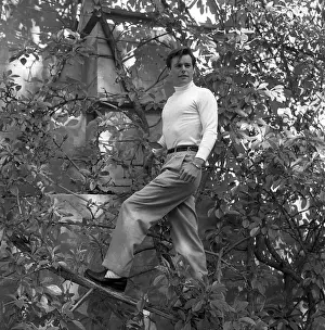 Leaf 4 1 13 Prints: Robert Wagner Portrait Session