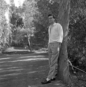 Leaf 4 1 13 Prints: Robert Wagner Portrait Session