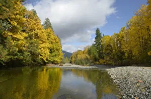 Robertson River leading into Cowichan Lake in fall, Cowichan Valley, Vancouver Island, British Columbia, Canada