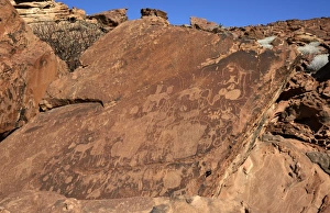 Images Dated 8th April 2013: Rock carvings of the San people, Damaraland, Kunene Region, Namibia