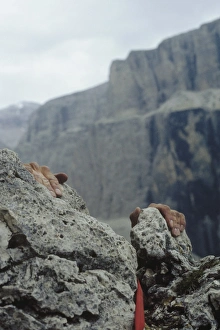 Images Dated 16th December 2009: Rock climbing in the Dolomites, Italy