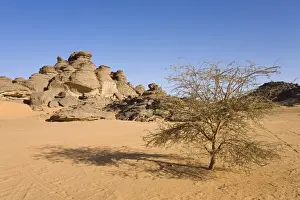 Strange Prints: Rock formations in the Libyan Desert