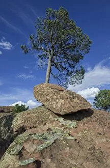 Rock formations in the Pinares de Rodeno Nature Reserve, Albarracin, Aragon, Spain