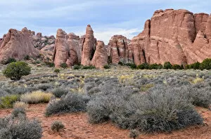 Rock formations of red sandstone near the Devils Garden Trailhead, Arches National Park, Moab, Utah, USA