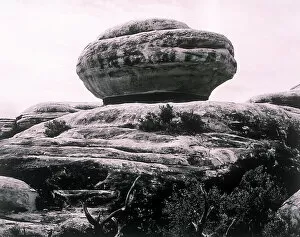 Images Dated 8th June 2004: Rock shaped like hamburger