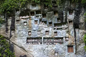 Images Dated 13th March 2010: Rock tombs and gallery of ancestors of the Toraja in Lemo, near Rantepao, Sulawesi, Indonesia