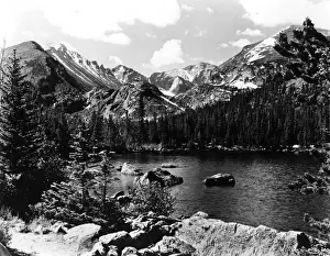 Landscape Tree Natural Prints: The Rockies