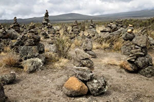 Images Dated 2nd September 2015: Rocks piled (cairns) on Shira Plateau, Kilimanjaro National Park, Lemosho trail