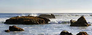 Rocks in the surf with brown algae -Phaeophyceae-, Pacific Coast, Cambria, California, United States