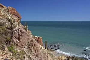 Rocky cliffs with cacti, Jijoca de Jericoacoara, Ceara, Brazil
