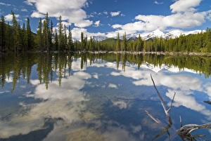 Woodlands Collection: Rocky Mountains, Kananaskis, Alberta, Canada