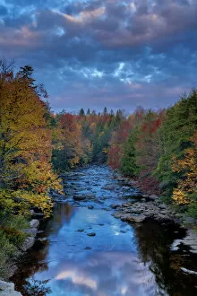 Images Dated 17th October 2016: Rocky stream and autumn forest in Blackwater Falls State Park, Tucker County, West Virginia, USA