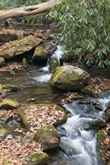 Images Dated 7th November 2016: Rocky stream in Great Smoky Mountains seen from Twenty Mile hike, North Carolina, USA