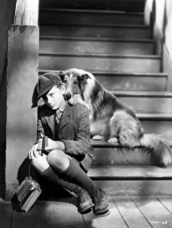 Fred M Prints: Roddy Mcdowall With His Beloved Lassie