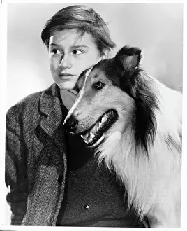 Lac0045 Prints: Roddy McDowall In Lassie Come Home