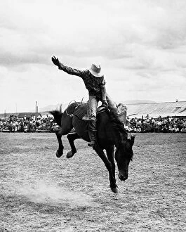 Wild West Gallery: Rodeo cowboy