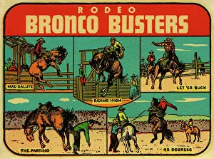 Rodeo decal