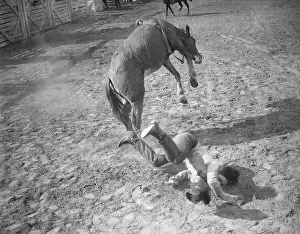 Bronco Prints: Rodeo Rider Falling from Horse