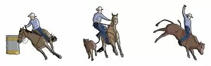 Four Animals Collection: Rodeo riders, barrel racing, tie-down and bull riding