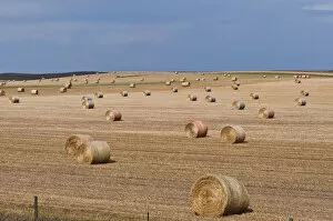 Images Dated 30th September 2016: Rolled hay bales, Buffalo Gap, South Dakota, USA