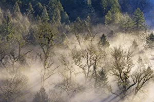 Images Dated 25th January 2015: Rolling Fog over Sandy River Valley I