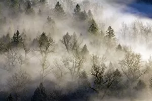 Images Dated 25th January 2015: Rolling Fog over Sandy River Valley II