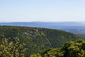 The rolling hills and bush near the fish river valley, which is very close to Grahamstown