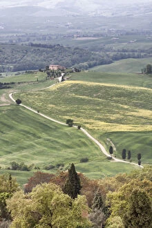 Images Dated 2nd May 2009: Rolling landscape in Val d Orcia