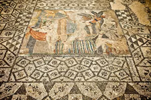 Images Dated 4th June 2009: Roman mosaics of Volubilis