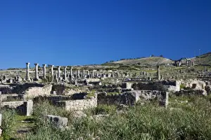 Roman Ruins, Meknes, Morocco