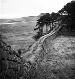 Roman Wall