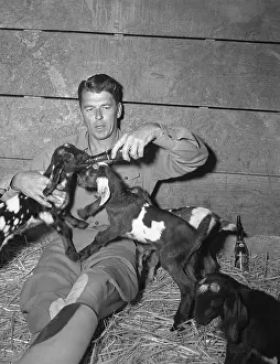 Ronald Reagan Feeding Goats