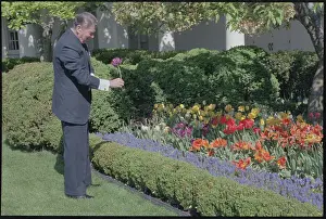 Ronald Reagan Picking Flower