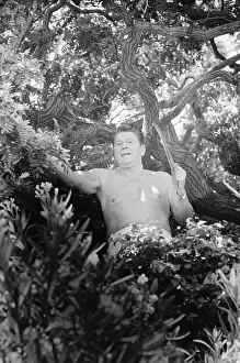 Ronald Reagan Pruning a Tree