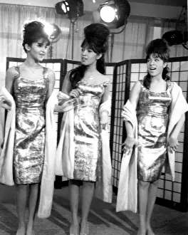 Ronettes Portrait