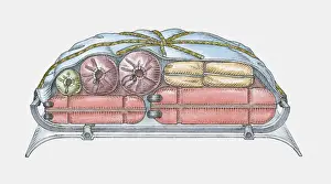 Tarpaulin Prints: Roof of a car loaded with luggage, covered with waterproof tarpaulin
