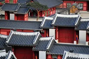 Roof Lines