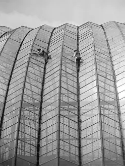 Roof Repairs