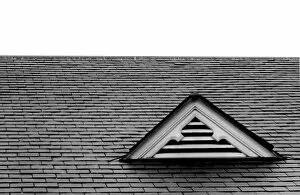 Images Dated 31st December 2018: Rooftop Triad