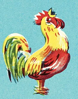 Images Dated 2nd September 2003: Rooster