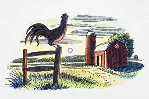 Images Dated 5th February 2008: Rooster on gate post, in front of farm building and rising sun