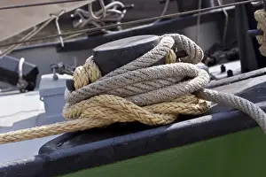 Leash Prints: Ropes
